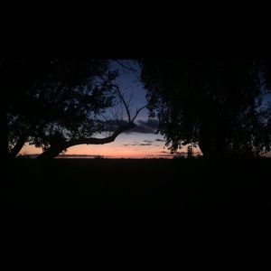 Meet your Posher, Halie